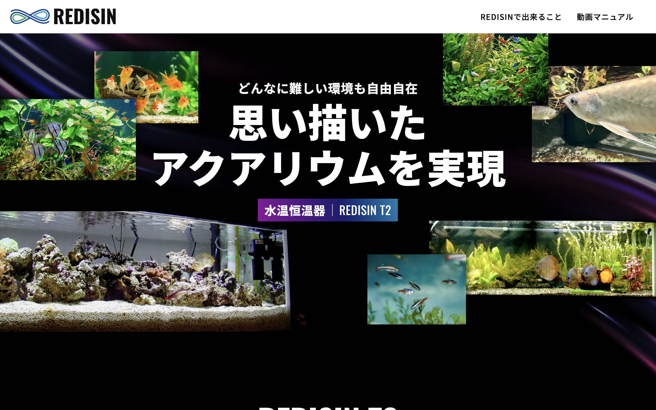 水温恒温器 REDISIN T2