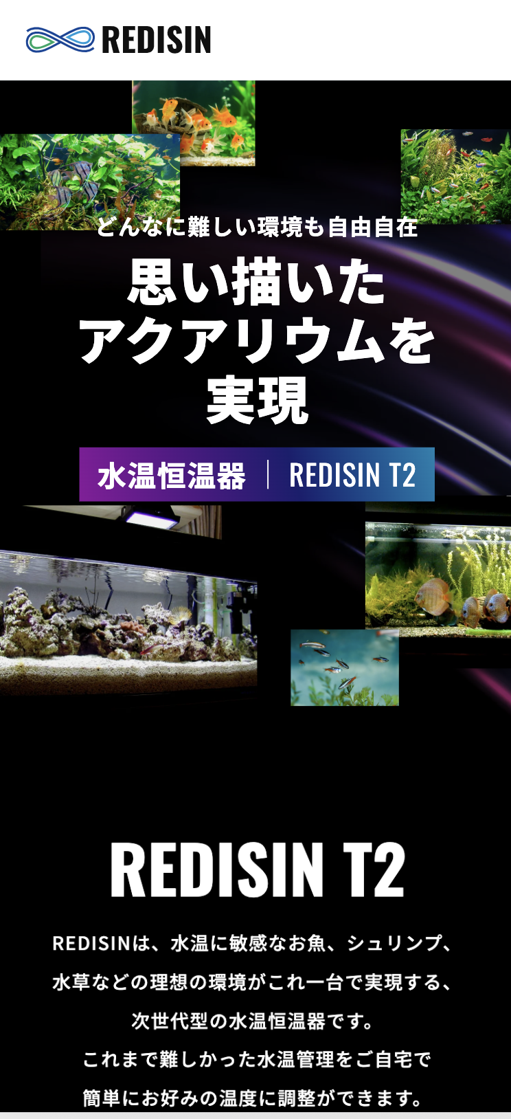 水温恒温器 REDISIN T2